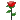õ��